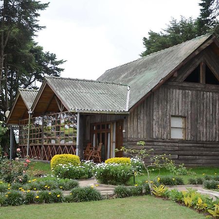 Calamander Lake Gregory Nuwara Eliya Bagian luar foto